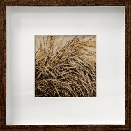 Сергей Трофимов (Авторская графика - 
                  25 x 25 см) Бурьян