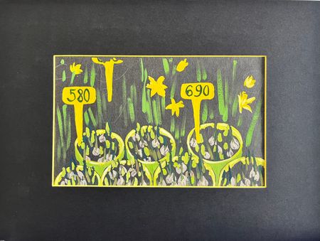 Елизавета Тарасова (Авторская графика - 
                  36 x 27 см) Цветочная лавка