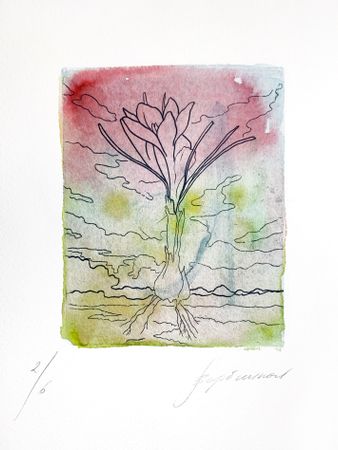 Елизавета Вербицкая (Графика печатная - 
                  35 x 50 см) Шафран. Песнь Песней