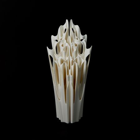 Юлия Низамутдинова (Cyberflora) (Объект - 
                  20 x 45 см) Ossis denti