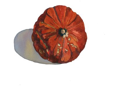 Петр Захаров (Авторская графика - 
                  32 x 24 см) Оранжевая тыква