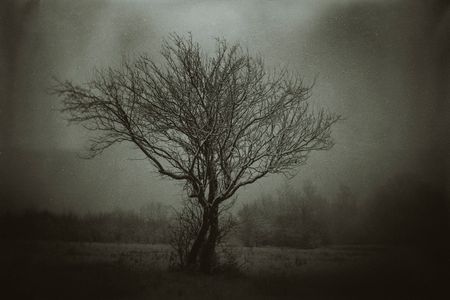Зара Нехай (Фотография - 
                  80 x 60 см) Зима