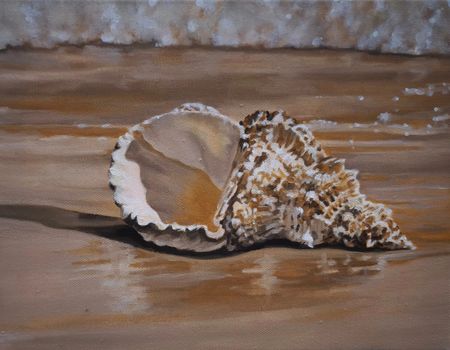 Мила Bezú (Картина, живопись - 
                  30 x 24 см) Shell