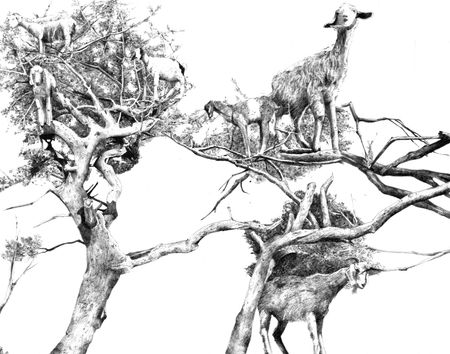 Ева Шорина (Графика цифровая (принты) - 
                  31 x 26 см) Открытка "Sheep"
