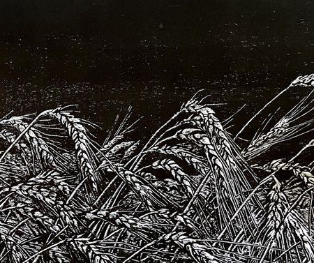 Игорь Баранов (Графика печатная - 
                  150 x 98 см) Поле пшеницы