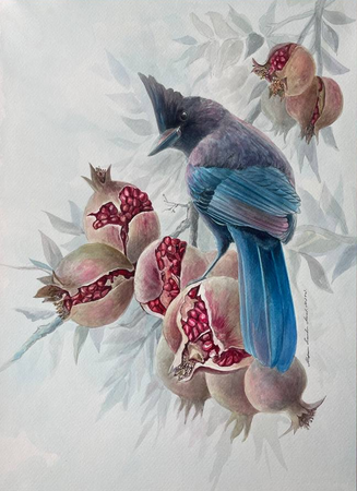 Екатерина Маркина (Авторская графика - 
                  35 x 50 см) Спелые гранаты