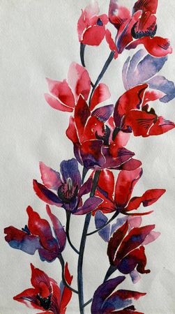 Алена Сокольникова (Авторская графика - 
                  25.5 x 45 см) Орхидея