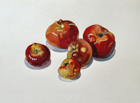 Петр Захаров (Авторская графика - 
                  32 x 24 см) Поздние яблоки