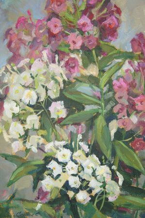 Елена Санина (Картина, живопись - 
                  33 x 42 см) Флоксы