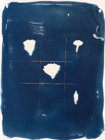 Дарья Парий (Графика печатная - 
                  28 x 37.5 см) Гвоздика-эустома