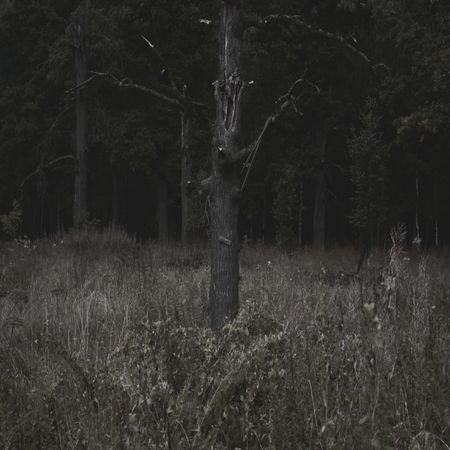 Станислав Марков (Фотография - 
                  90 x 90 см) Untitled VI