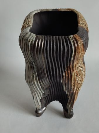Екатерина Пеганова (Ваза - 
                  14 x 24 см) Коробочка плода