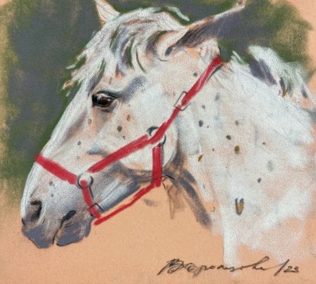 Надежда Воронцова (Авторская графика - 
                  22 x 19 см) Портрет лошадки