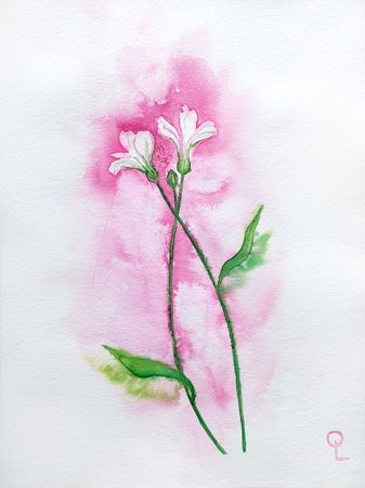 Оливия Лем (Авторская графика - 
                  35 x 50 см) Альстромерии