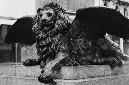 Lizabet Grace (Фотография - 
                  21 x 30 см) Lion of Venice | Лев святого Марка в Венеции