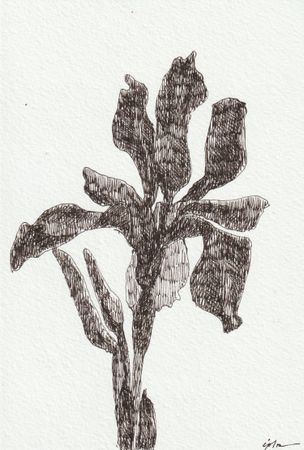 Виктория Зарецкая (embrassé par la muse) (Авторская графика - 
                  13 x 18.7 см) Iris 01
