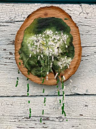 Валерия Головенкина (Объект - 
                  10 x 12 см) Сныть зацвела