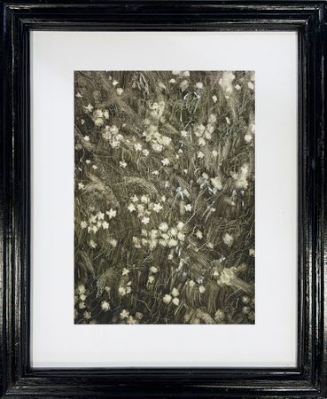 Сергей Трофимов (Картина, живопись - 
                  56 x 70 см) Незабудка