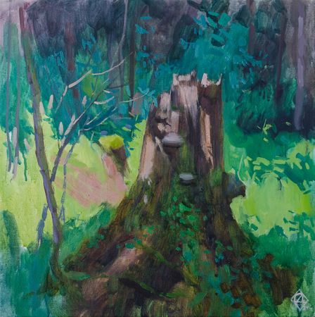 Дарья Салахова (Картина, живопись - 
                  40 x 40 см) Пень