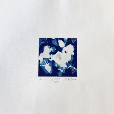 Юлия Милякова (Графика печатная - 
                  30 x 30 см) Падение. Серия "Цветы"