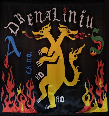 Елизавета Манохина (Объект - 
                  114 x 130 см) Adrenalinius