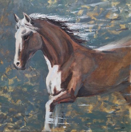 Елена Санина (Картина, живопись - 
                  43 x 43 см) Полет