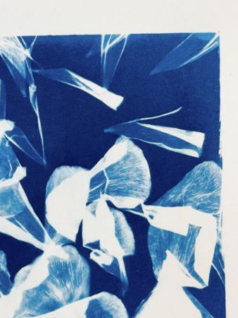 Юлия Милякова (Графика печатная - 
                  30 x 30 см) Свободное падение 1. Серия "Цветы"