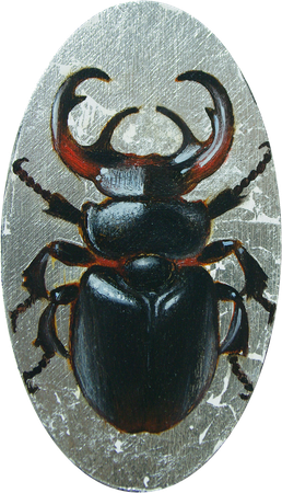 Катерина Бородавченко (Картина, живопись - 
                  8 x 14 см) Жук