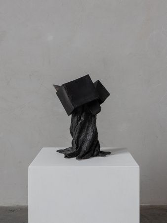 Татьяна Карпова (Скульптура - 
                  20 x 37 см) Окаменелый рост