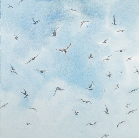 Юлия Третьякова (Авторская графика - 
                  25 x 25 см) Размышление о чайках