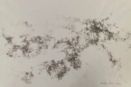 Андрей Двин (Авторская графика - 
                  57 x 41 см) PLURALITY OF SPACES 2