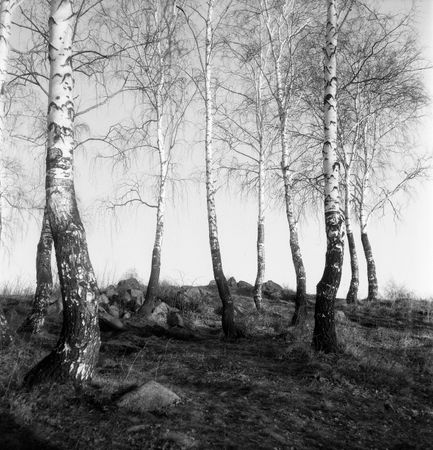Евгений Стамиков (Фотография - 
                  23 x 23 см) Остров