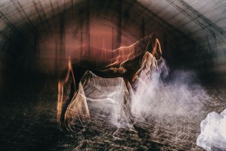 Наташа Лозинская (Фотография - 
                  40 x 60 см) Untitled I