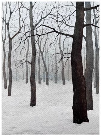 Ангелина Иванова (Авторская графика - 
                  14 x 19 см) Пейзаж зимний парк