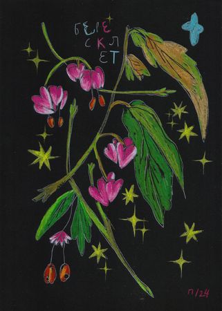 Катя Попченко (Авторская графика - 
                  21 x 29 см) БЕРЕСКЛЕТ