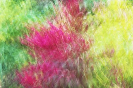 Татьяна Сенчило (Фотография - 
                  100 x 70 см) Из серии "Исчезнуть, замолчать, услышать"