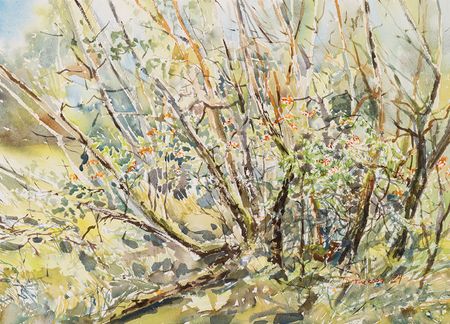 Юлия Третьякова (Авторская графика - 
                  54 x 38.7 см) Лес на Куршской косе