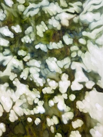 Инна Сумина (Картина, живопись - 
                  60 x 80 см) Теплые лучи