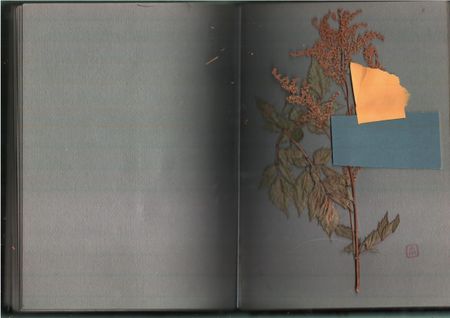 Антон Шульгин (Коллаж / ассамбляж - 
                  29.7 x 42 см) Русский альбом (Красный)