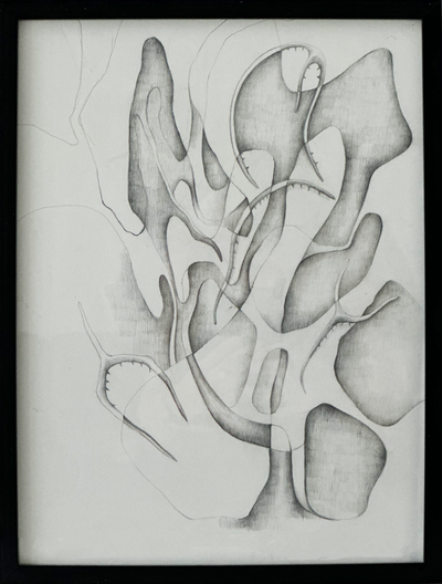 Графикадағы онанизм