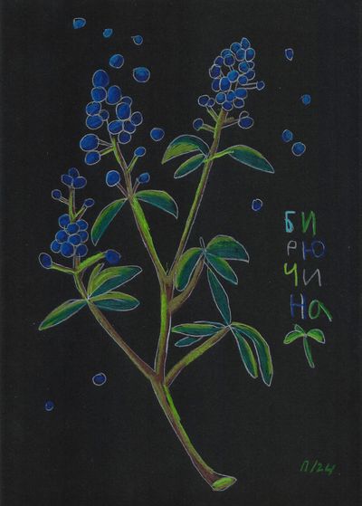 Бирючина