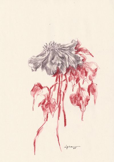 Fleur 04