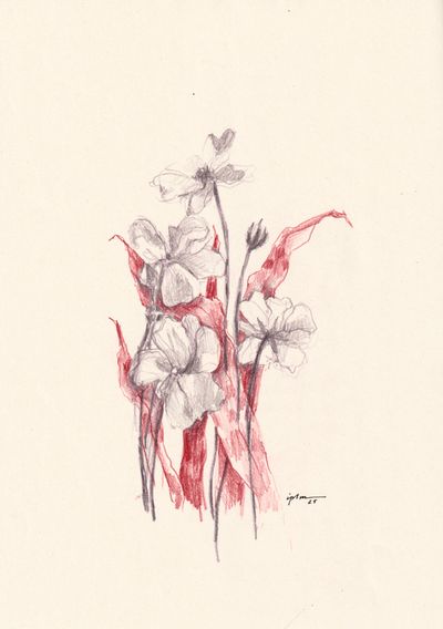 Fleur 02