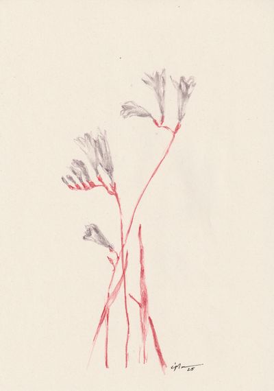 Fleur 03