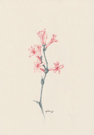 Fleur 06
