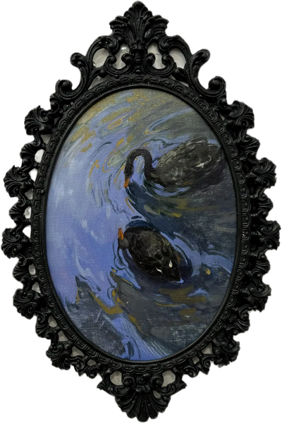 Лебеди в дендропарке