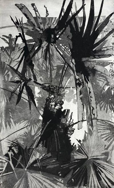 Palm (I)