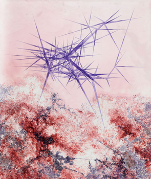 p-landscape #23
