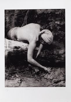 Homo Lignum