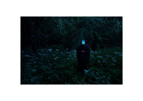 Вепсский лес VII